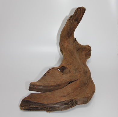 ホーン・ウッド