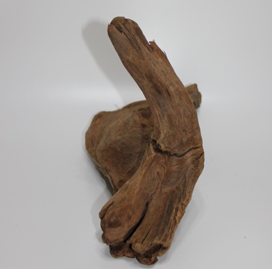 ホーン・ウッド