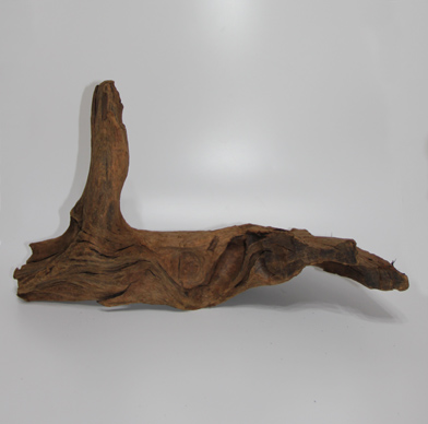 ホーン・ウッド