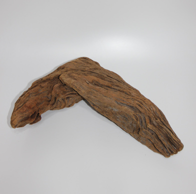 ホーン・ウッド