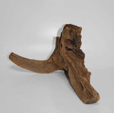 ホーン・ウッド