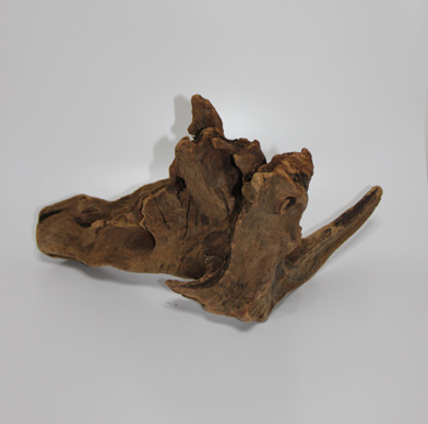 ホーン・ウッド