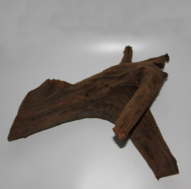 ホーン・ウッド