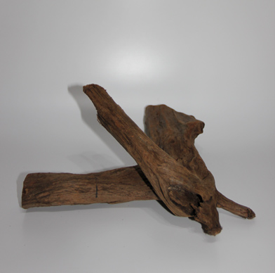 ホーン・ウッド