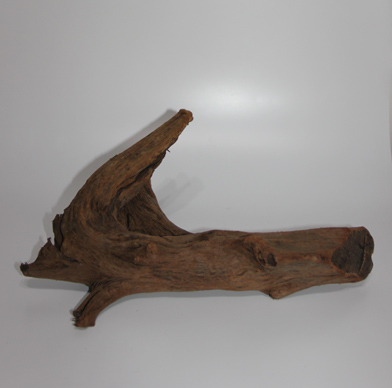 ホーン・ウッド