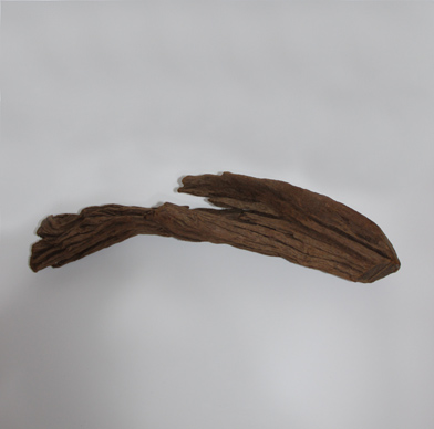 ホーン・ウッド