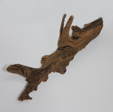 ホーン・ウッド