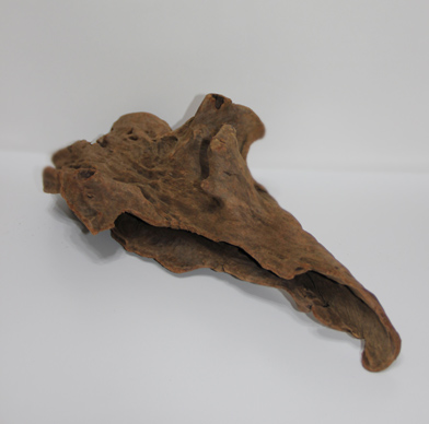 ホーン・ウッド