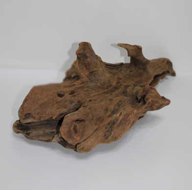 ホーン・ウッド