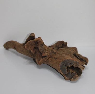 ホーン・ウッド