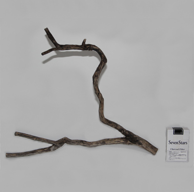 スティック・ウッド