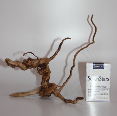 ブランチ・ウッド