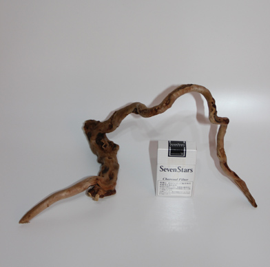 ブランチ・ウッド