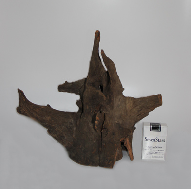 ホーン・ウッド・切株