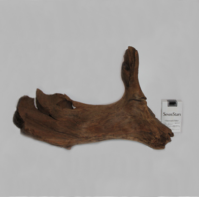 ホーン・ウッド