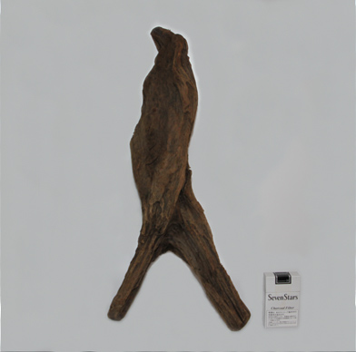 ホーン・ウッド