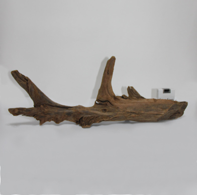 ホーン・ウッド