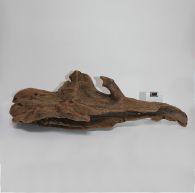 ホーン・ウッド