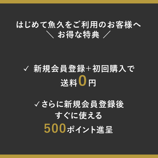 初回購入案内2