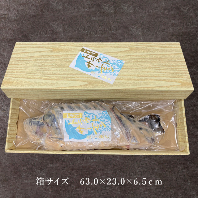 ﾄﾗｳﾄｻｰﾓﾝ1本漬-魚久-粕漬-専用箱