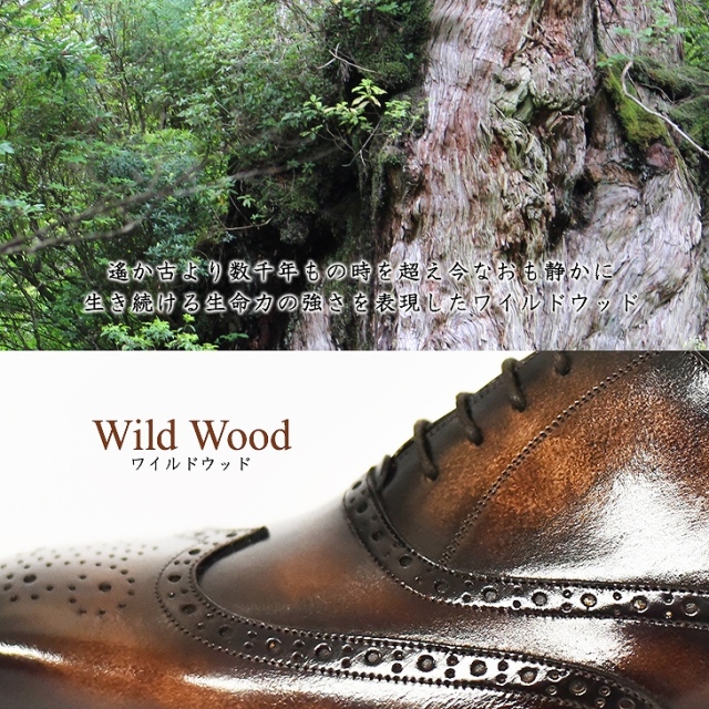 1382_7wildwood.jpg?t=
