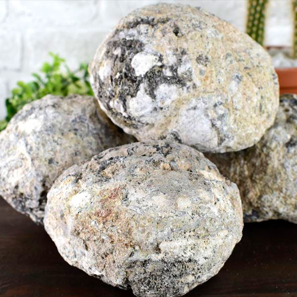 トランカスジオード　ジオード　割れてない　割れていない　水晶ジオード　晶洞　メキシコ産　割る前　ジオードクラッキング