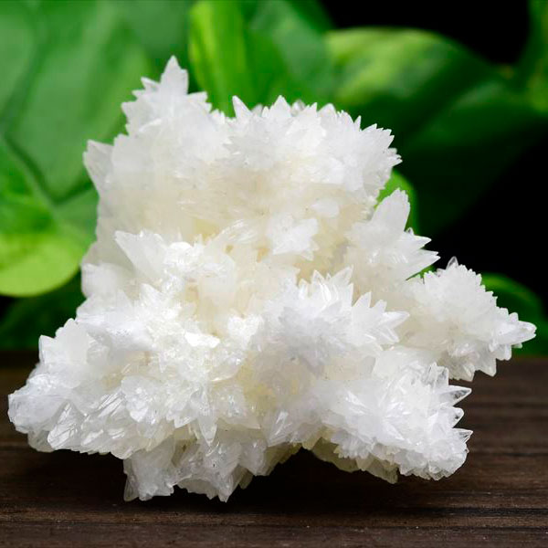 アラゴナイト　フロスフェリ　ホワイトアラゴナイト　メキシコ　flosferri　クラスター　原石　霰石　天然石