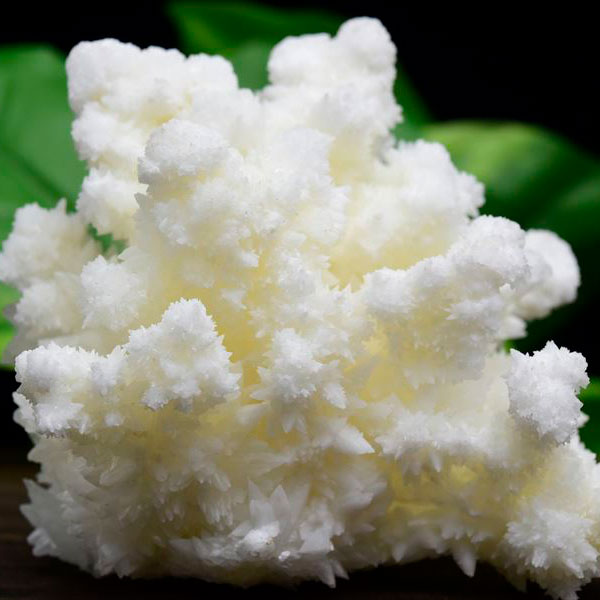 アラゴナイト　フロスフェリ　ホワイトアラゴナイト　メキシコ　flosferri　クラスター　原石　霰石　天然石