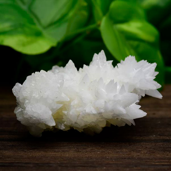 アラゴナイト　フロスフェリ　ホワイトアラゴナイト　メキシコ　flosferri　クラスター　原石　霰石　天然石