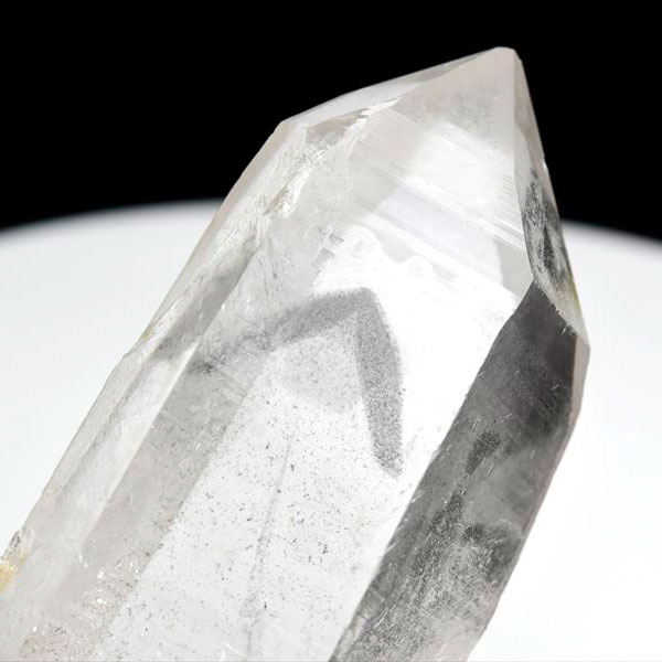 バイーア州アレグレ産ブラックファントムレムリアン