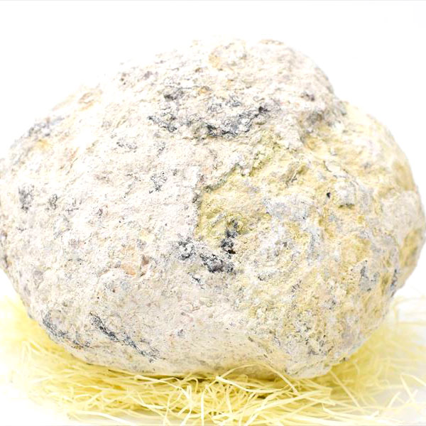 トランカスジオード　ジオード　割れてない　割れていない　水晶ジオード　晶洞　メキシコ産　割る前　ジオードクラッキング