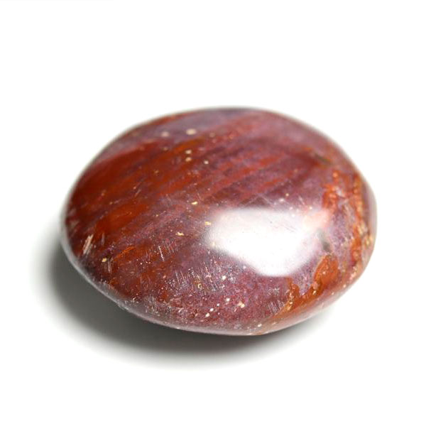 ペトリファイドウッド　珪化木　タンブル　Petrified Wood　木化石　置物　マダガスカル産　マーブル　天然石　パワーストーン