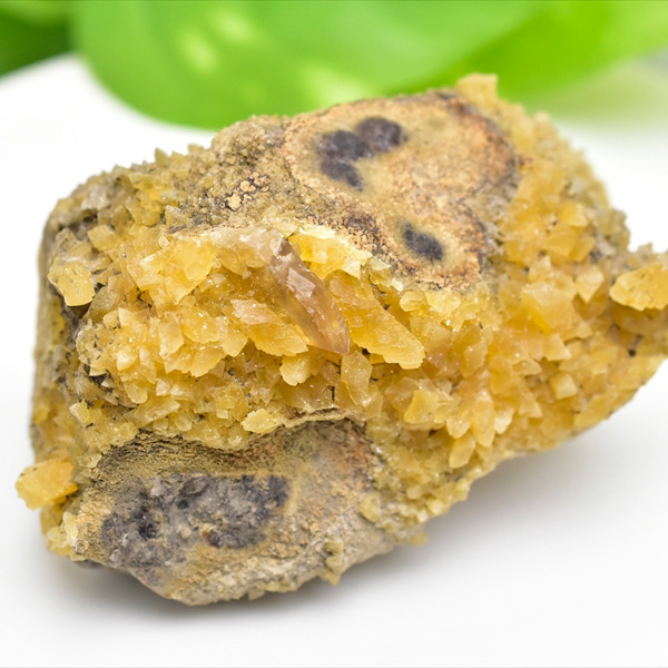 ゴールデンバライト カルサイト 結晶 原石◇アメリカ・サウスダコタ州