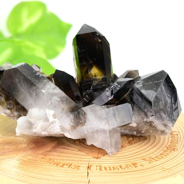 アーカンソー産水晶・ゴールデンヒーラー・黒水晶｜クラスター｜鉱物