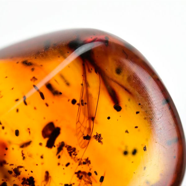 虫入り 琥珀 アンバー コパル Amber Copal ヤングアンバー 天然樹脂 コロンビア産 タンブル