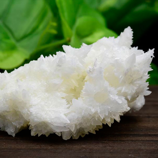 アラゴナイト　フロスフェリ　ホワイトアラゴナイト　メキシコ　flosferri　クラスター　原石　霰石　天然石