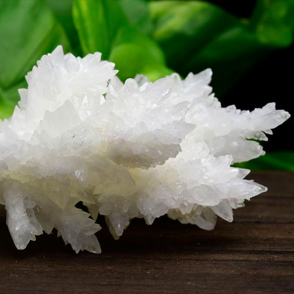 アラゴナイト　フロスフェリ　ホワイトアラゴナイト　メキシコ　flosferri　クラスター　原石　霰石　天然石