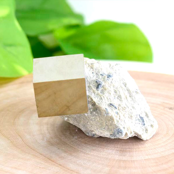 パイライト　キュービックパイライト■スペイン・ナバフン産■天然立方体結晶・母岩付き■【約52.3g】原石｜パイライトキュービック｜黄鉄鉱｜スペイン産パイライト｜b8830