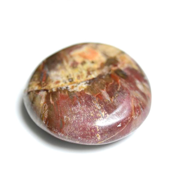 ペトリファイドウッド　珪化木　タンブル　Petrified Wood　木化石　置物　マダガスカル産　マーブル　天然石　パワーストーン