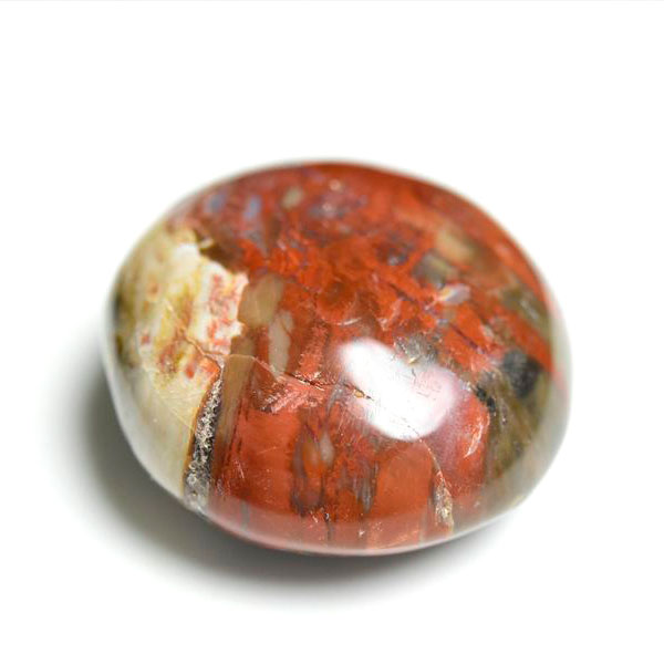 ペトリファイドウッド　珪化木　タンブル　Petrified Wood　木化石　置物　マダガスカル産　マーブル　天然石　パワーストーン