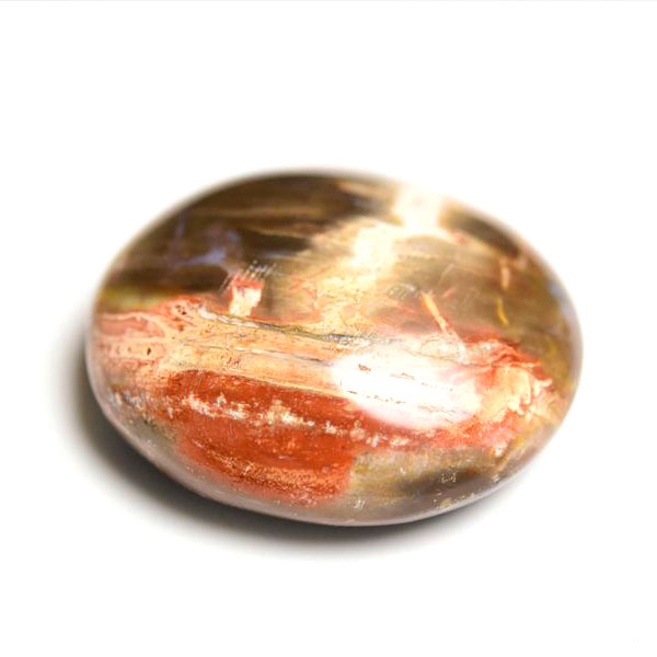 ペトリファイドウッド　珪化木　タンブル　Petrified Wood　木化石　置物　マダガスカル産　マーブル　天然石　パワーストーン