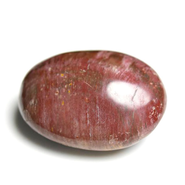 ペトリファイドウッド　珪化木　タンブル　Petrified Wood　木化石　置物　マダガスカル産　マーブル　天然石　パワーストーン