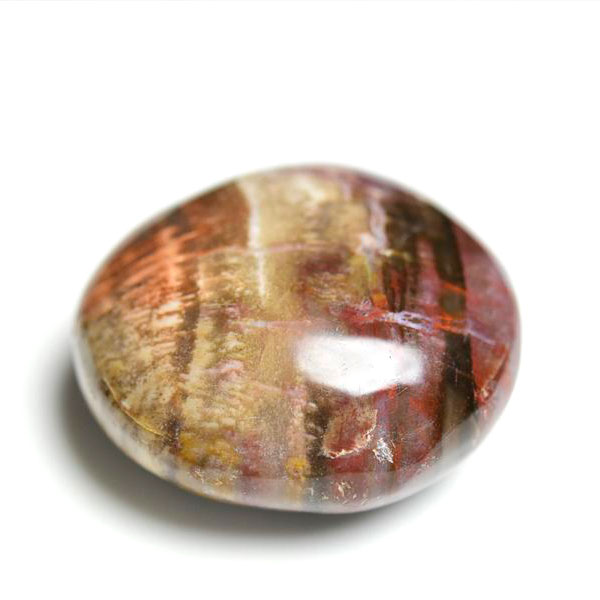 ペトリファイドウッド　珪化木　タンブル　Petrified Wood　木化石　置物　マダガスカル産　マーブル　天然石　パワーストーン