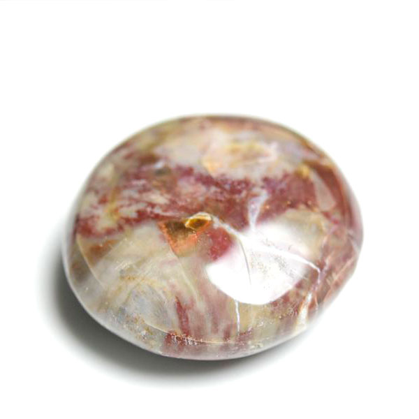 ペトリファイドウッド　珪化木　タンブル　Petrified Wood　木化石　置物　マダガスカル産　マーブル　天然石　パワーストーン