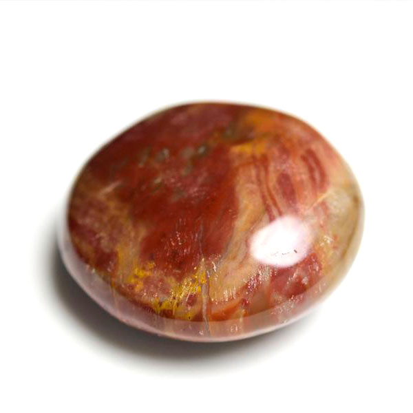 ペトリファイドウッド　珪化木　タンブル　Petrified Wood　木化石　置物　マダガスカル産　マーブル　天然石　パワーストーン