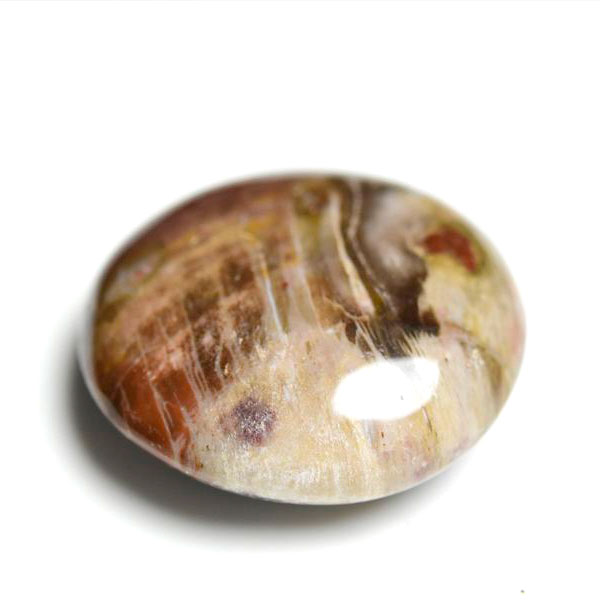 ペトリファイドウッド　珪化木　タンブル　Petrified Wood　木化石　置物　マダガスカル産　マーブル　天然石　パワーストーン