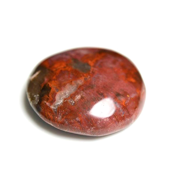 珪化木（ペトリファイドウッド）