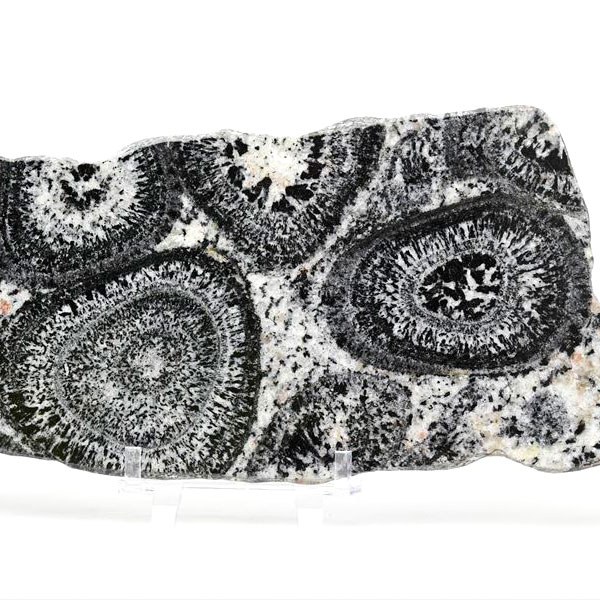 オービキュラーグラナイト オービキュライト 花崗岩 黒雲母 角閃石 深成岩 置物 プレート オーストラリア 天然石 原石