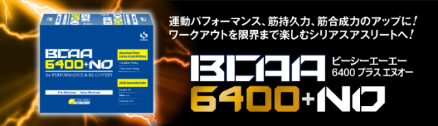 BCAA 分岐鎖アミノ酸 クライマー おすすめ サプリ クライミング ボルダリング 疲労回復 疲労遅延 筋分解防止