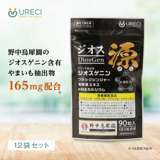 ジオス源90粒入り(12袋セット) ジオスゲニン サプリ サプリメント